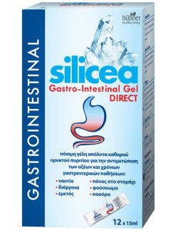 HUBNER Silicea Direct Gastro-Intestinal Gel, Sachets 12 x 15ml