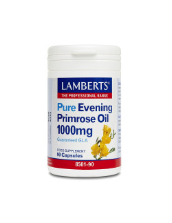 Lamberts Evening Primrose...