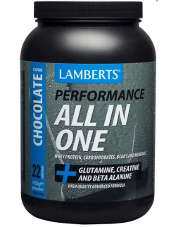 LAMBERTS PERFORMANCE ALL IN ONE CHOCOLATE 1450 gr