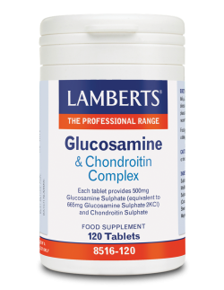 LAMBERTS Glucosamine & Chondroitin Complex 120 Tabs